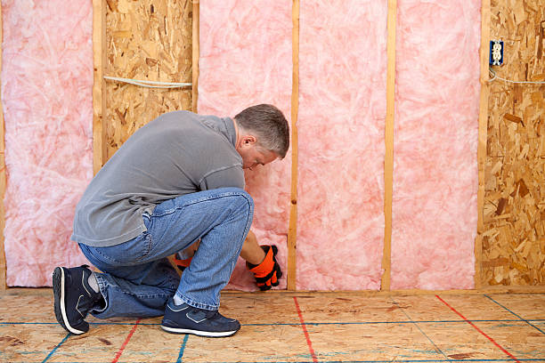 Trusted Energy, IL Insulation Installation & Removal Experts